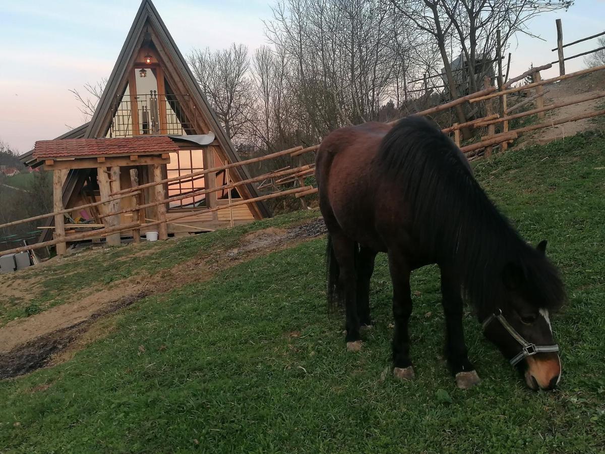 Ranch At Geta Guest House Razgorce Exterior photo
